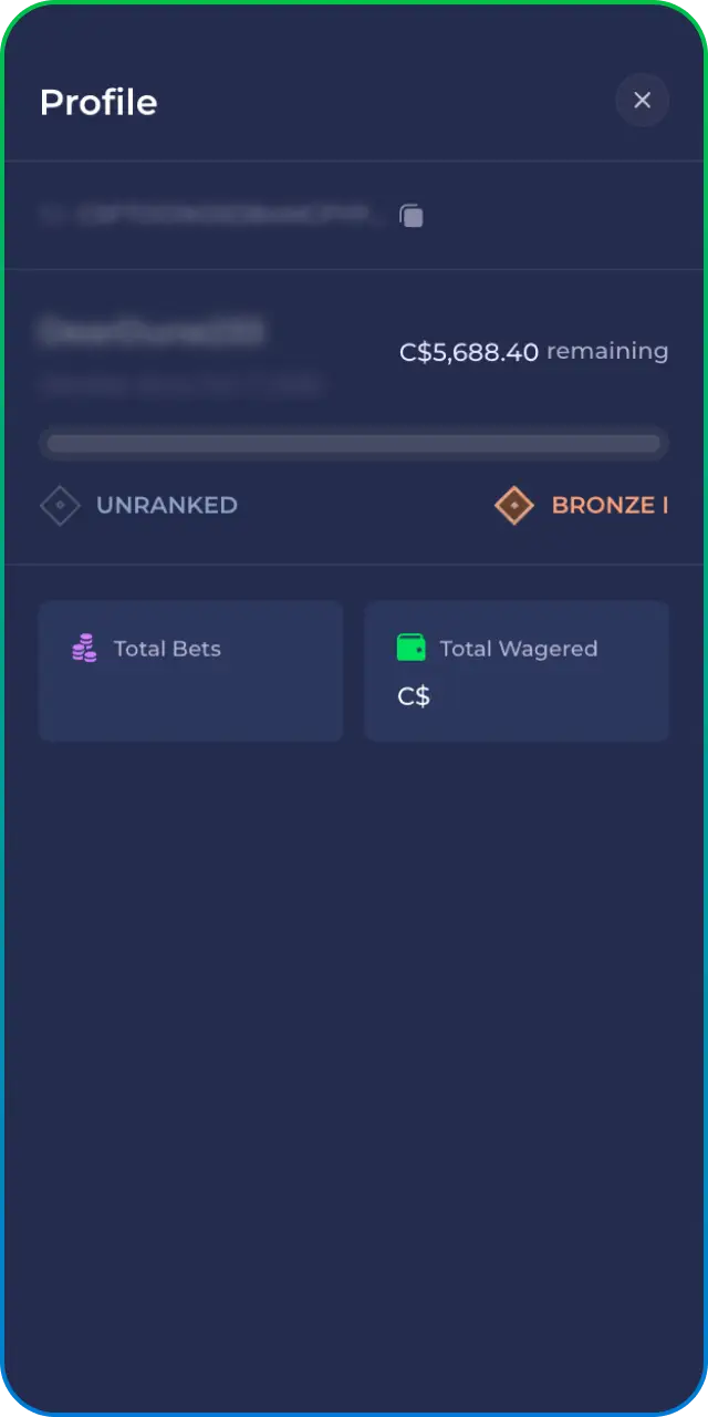 Access your dashboard after a successful Rainbet Log In to start betting.