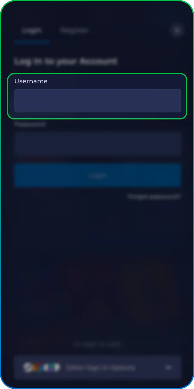 Enter your email and password to Log In to your personal Rainbet account.